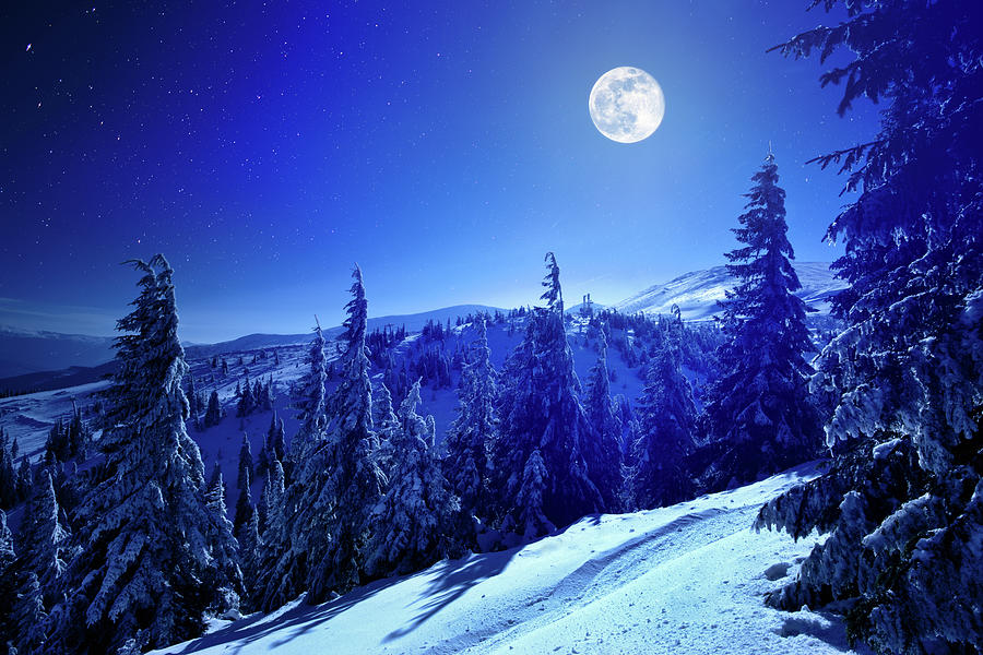 winter moon